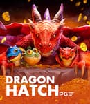 Dragon Hatch