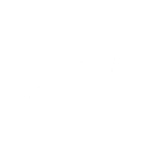 Logo da F12 Bet